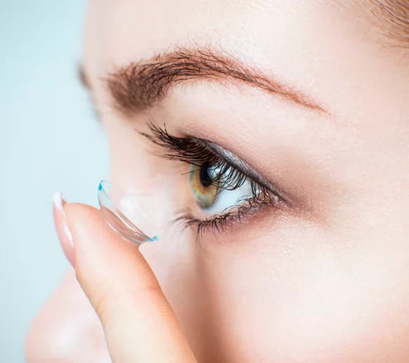 Yılan Yapısı 1346111776