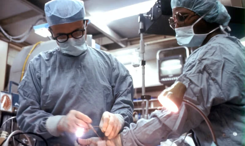 Two surgeons operating