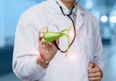 Gallbladder: Structure, Function, Diseases and Treatment Options