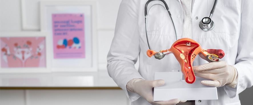 Hysteroscopy: An Important Method for Diagnosis and Treatment in the Field of Female Reproductive Health