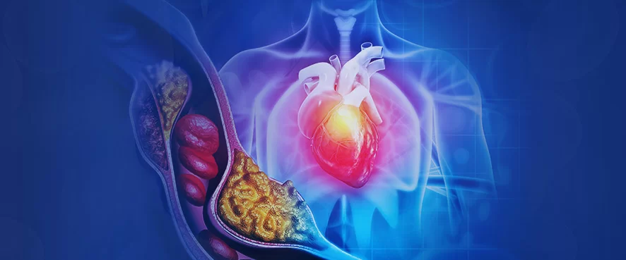 Cholesterol: Enemy or Loyal Friend of Our Body?