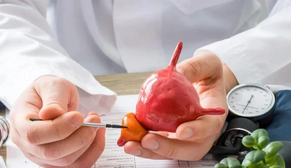 Treatment of Benign Prostatic Enlargement Using the ThuLEP Method