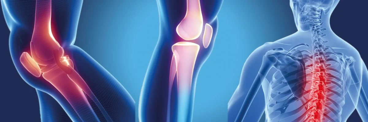 Orthopedics and Traumatology