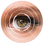 Eye Health and Aesthetics